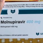 Thuoc Molnupiravir 1639655454216252121222